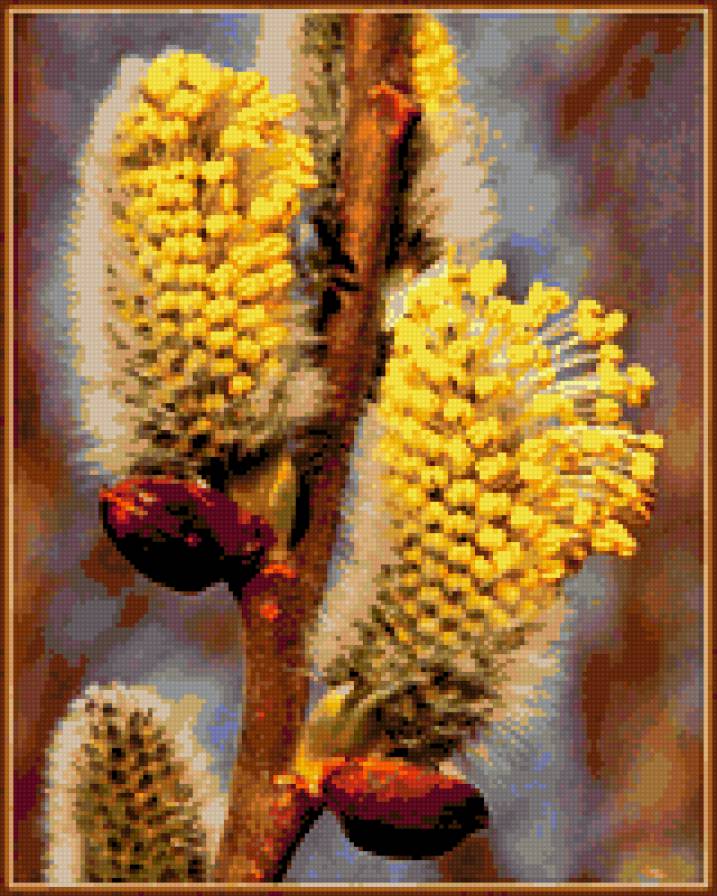 верба - верба, цветы, весна - предпросмотр