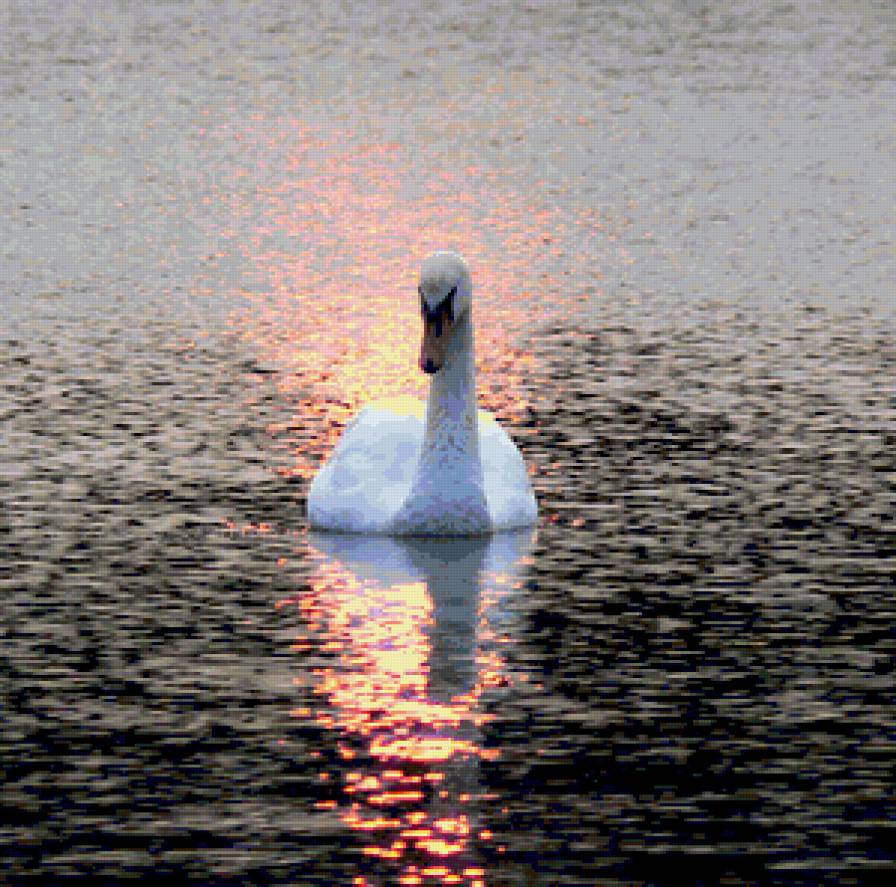 №369649 - предпросмотр