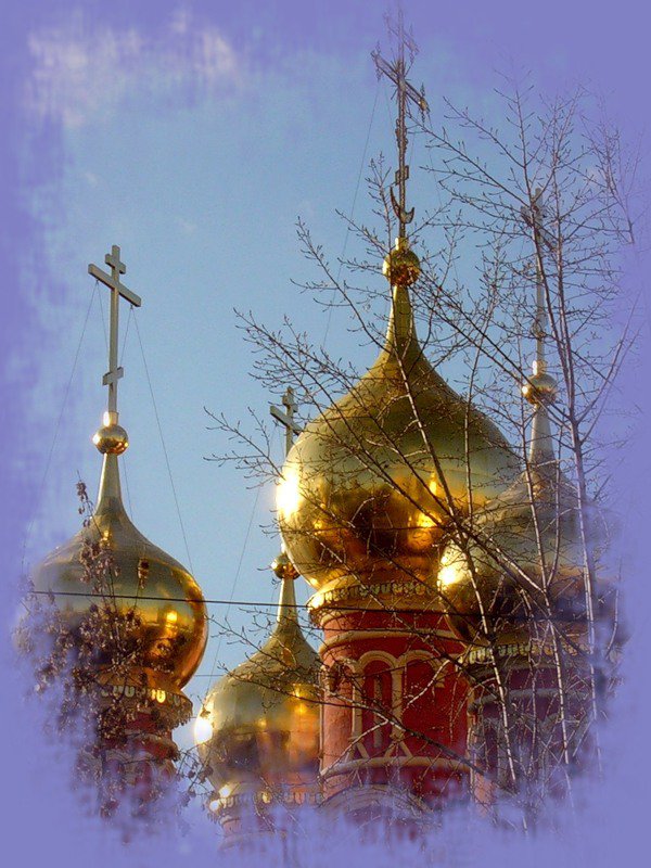 №369671 - оригинал