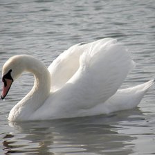 Схема вышивки «№369675»