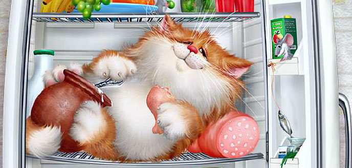 №369705 - кот - оригинал