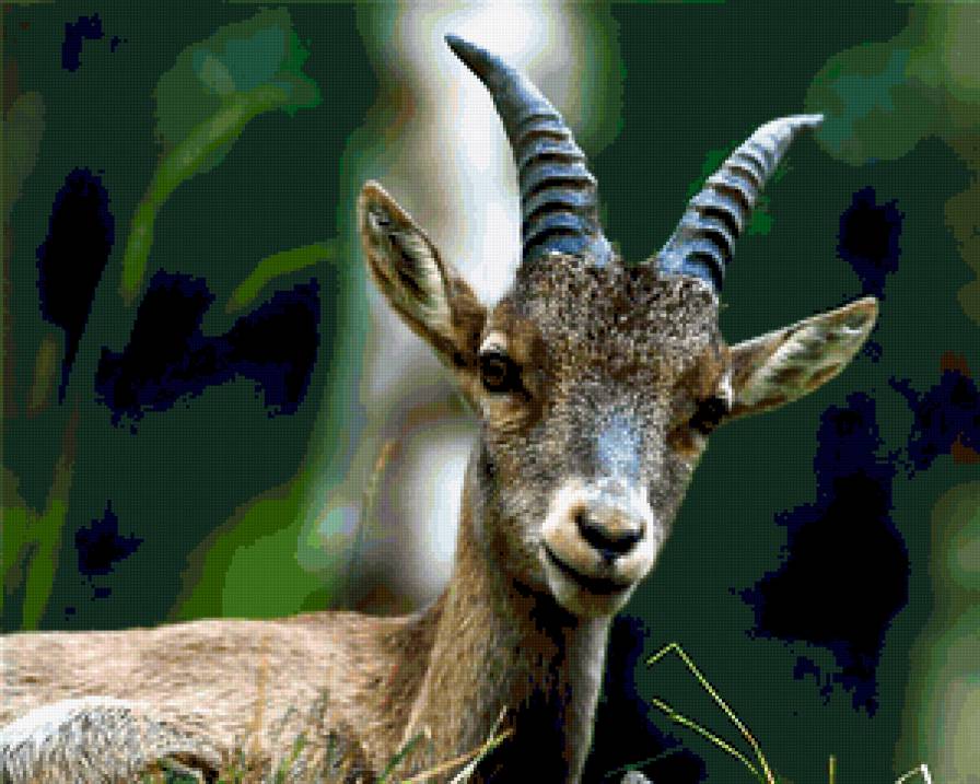 №369748 - предпросмотр