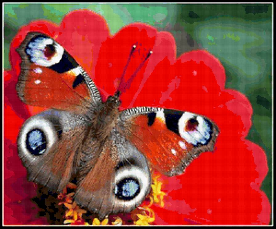 №369752 - предпросмотр