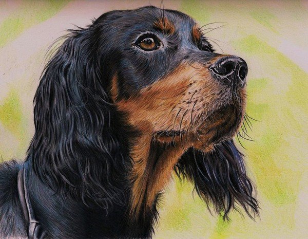 верный друг - собаки картина - оригинал