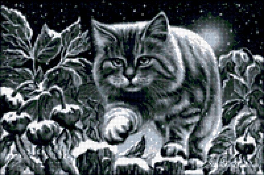 5 - предпросмотр