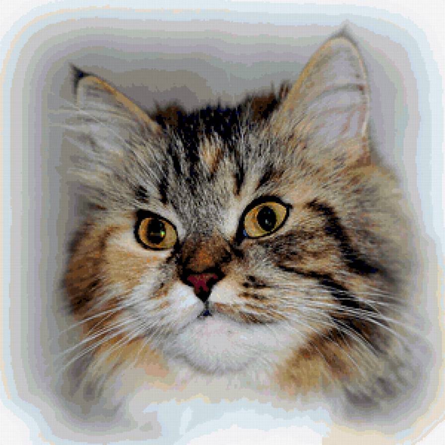 №369843 - предпросмотр