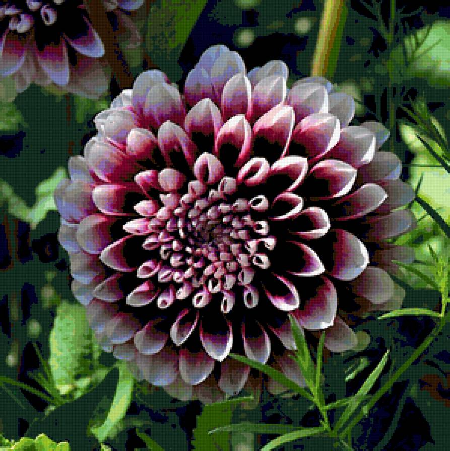 №369850 - предпросмотр