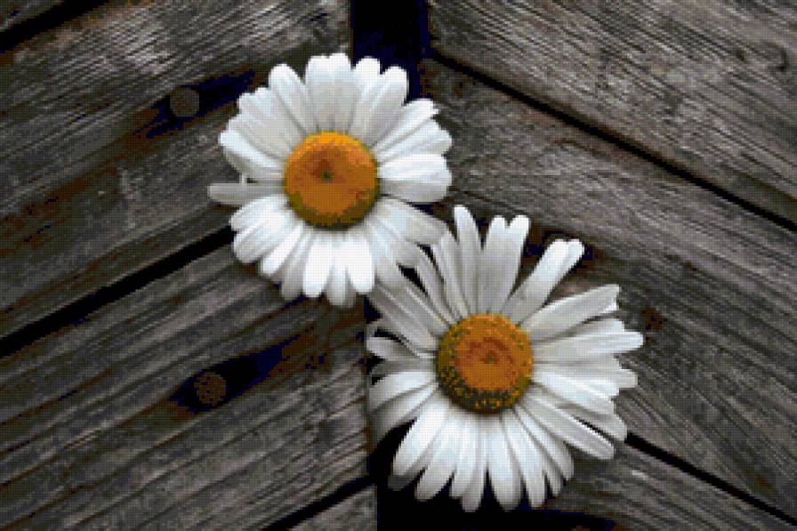 №369854 - предпросмотр