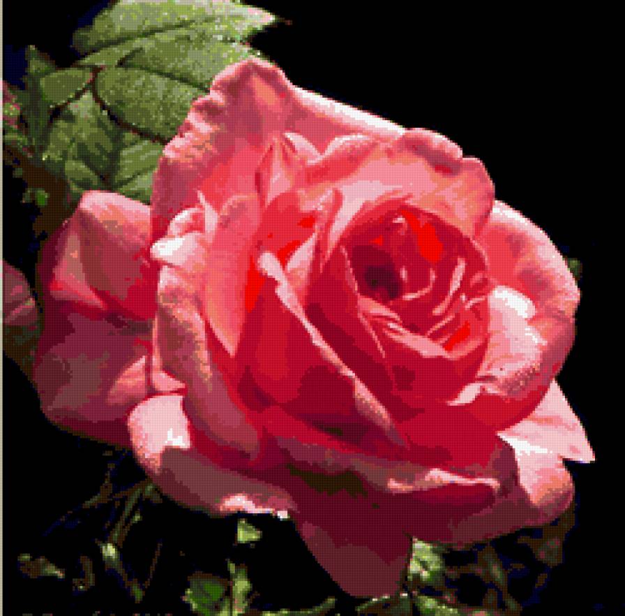 №369856 - предпросмотр