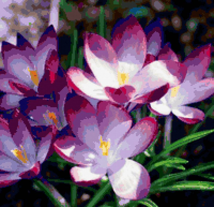 ж - предпросмотр