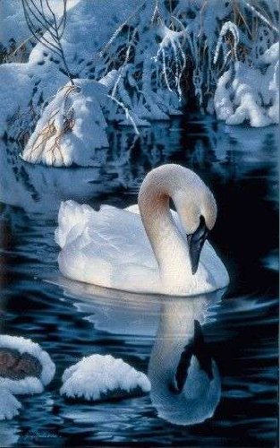 картина - картина - оригинал