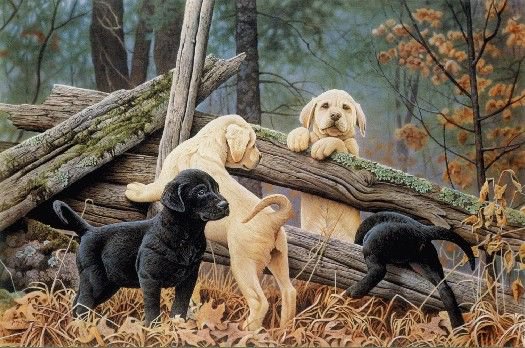 картина - картина - оригинал