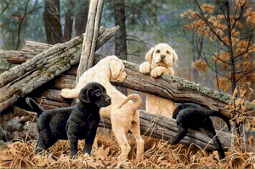 картина - картина - предпросмотр