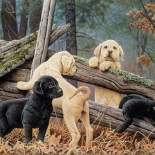 Схема вышивки «картина»