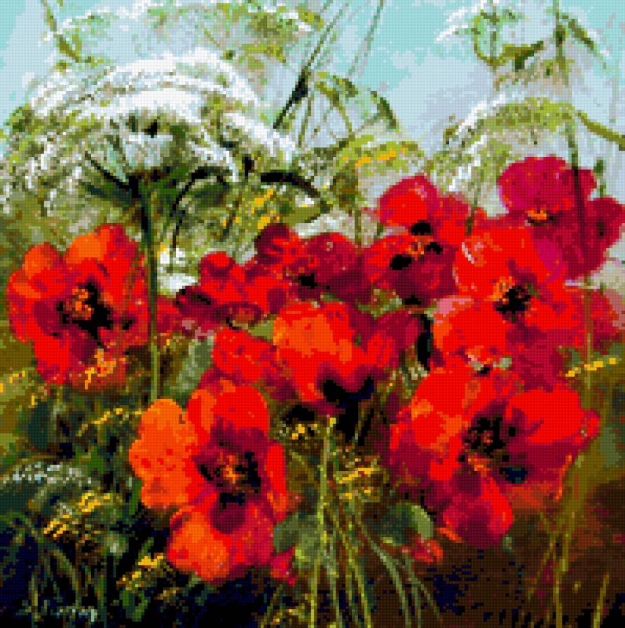 акварель - полевые, маки, цветы - предпросмотр