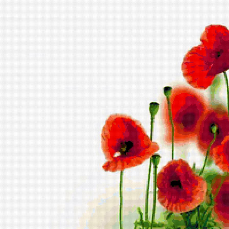 маки - предпросмотр