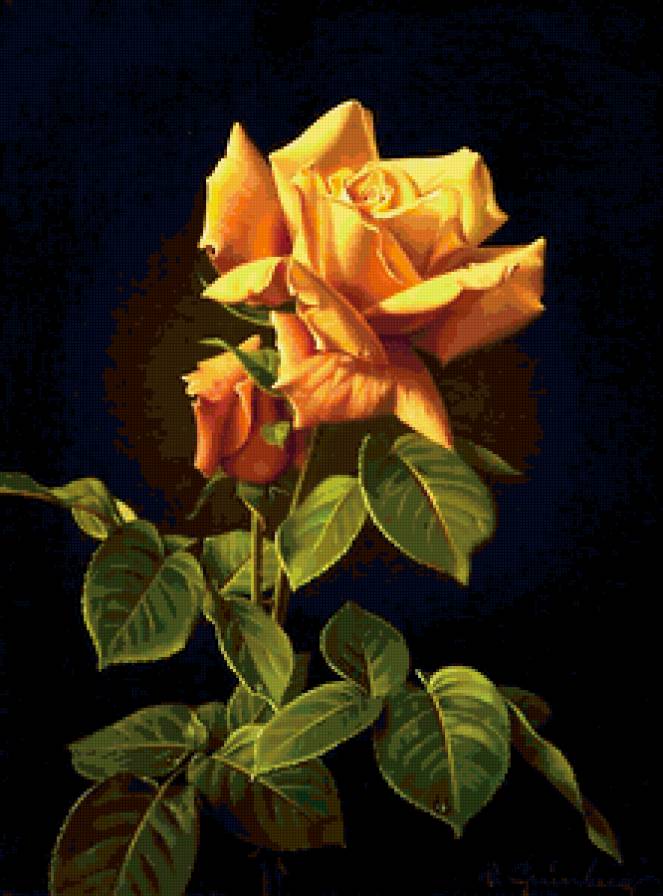 №370274 - предпросмотр