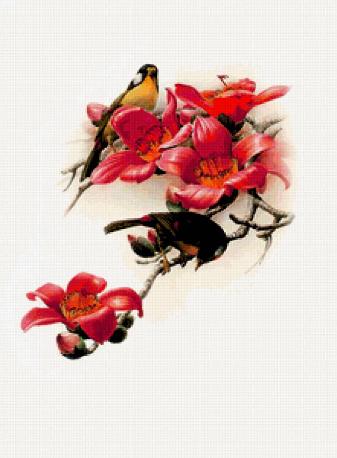 №370294 - птицы - предпросмотр