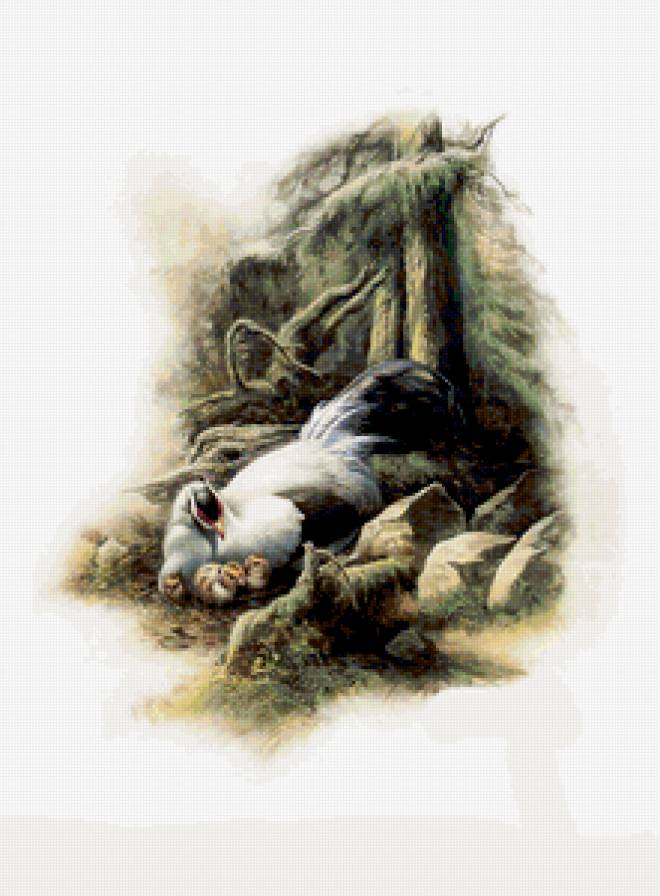 №370303 - птицы - предпросмотр