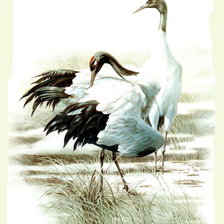 Схема вышивки «№370319»