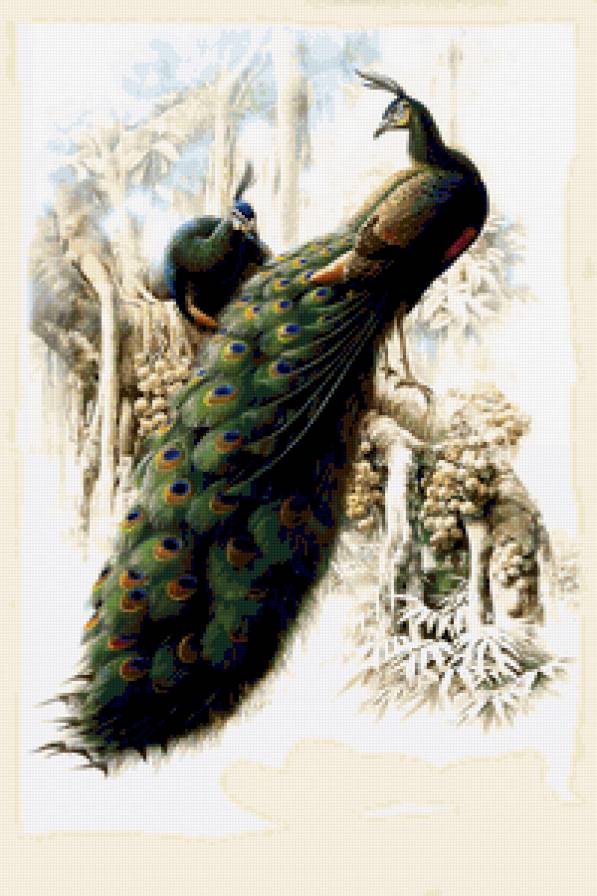 №370325 - птицы - предпросмотр