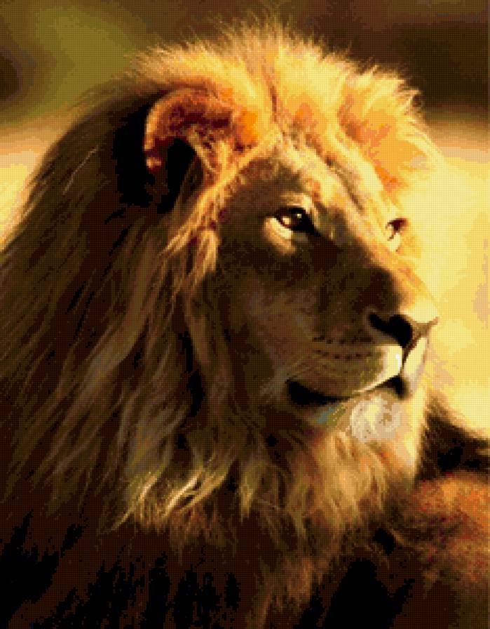 Лев - животные - предпросмотр