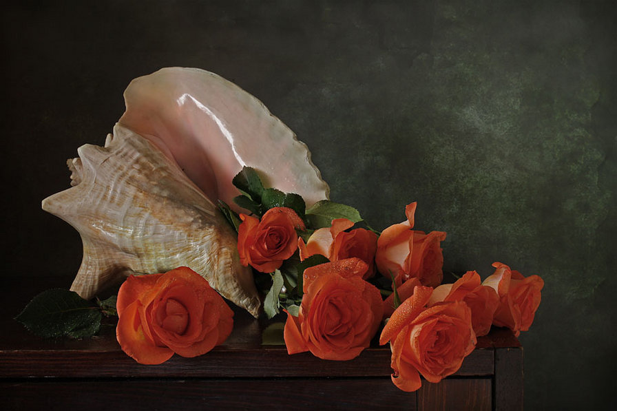 №370588 - оригинал