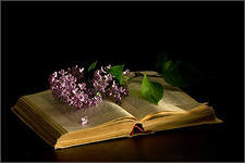 №370609 - оригинал