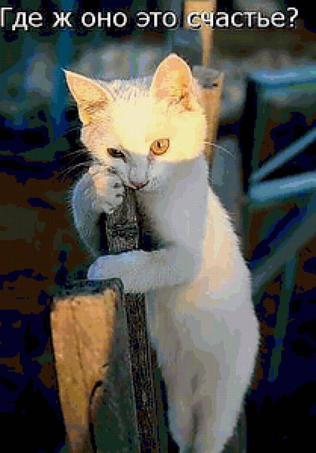 Где ж оно счастье? - животные - предпросмотр