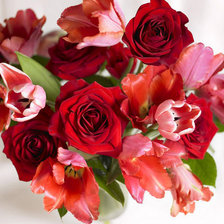 Оригинал схемы вышивки «№370720»