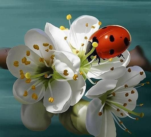 №370741 - оригинал