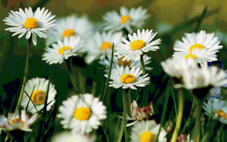 №370752 - предпросмотр