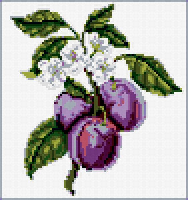 сливы - фрукты, для кухни, слива, панно - предпросмотр