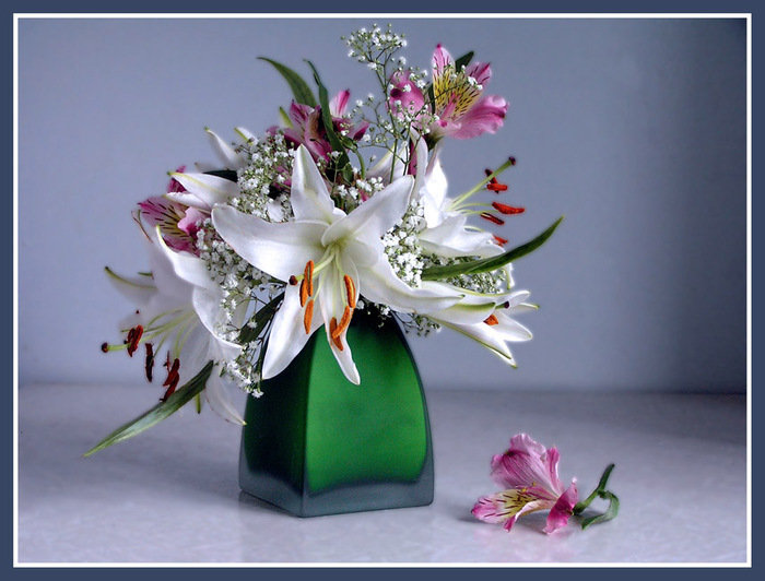 №370825 - оригинал