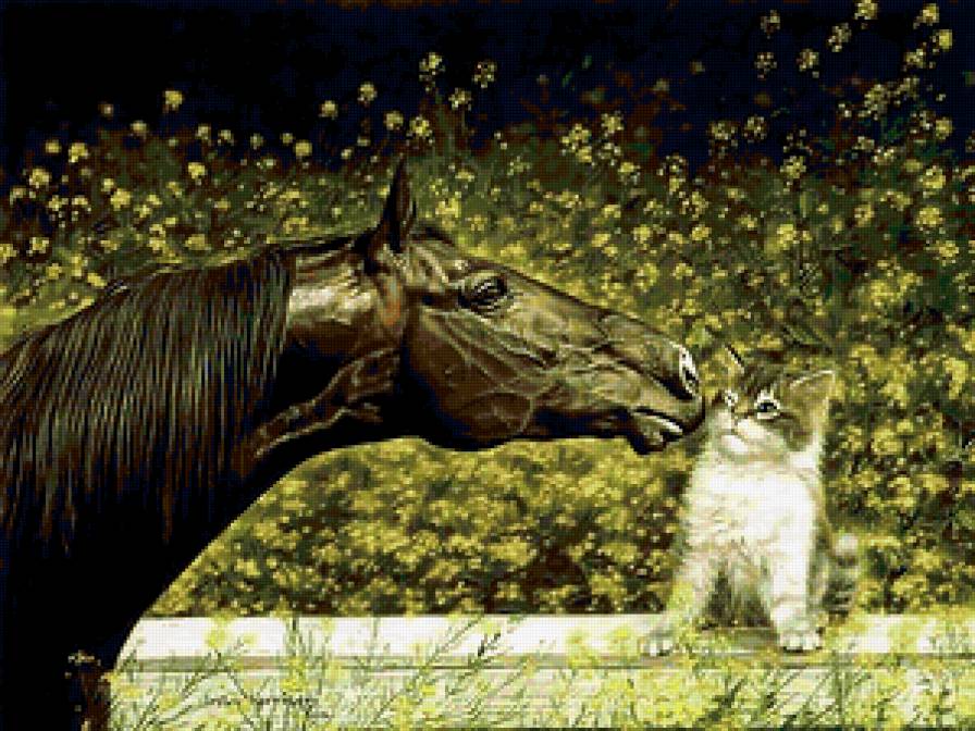 котенок и лошадь - предпросмотр