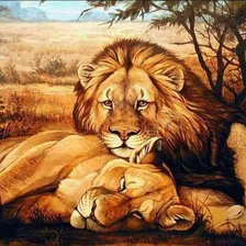 Схема вышивки «нежность»