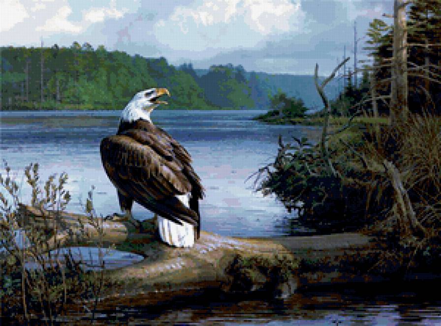 №371196 - предпросмотр