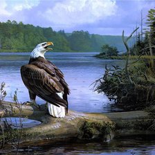 Схема вышивки «№371196»