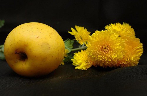 №371230 - фрукты, натюрморт, цветы, на кухню, букет - оригинал