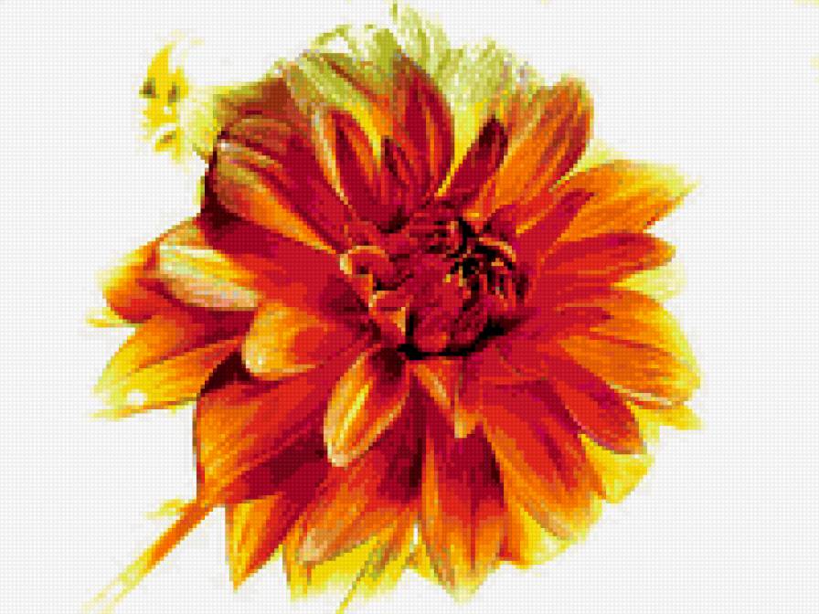 георгин - георгины, цветы, цветок - предпросмотр