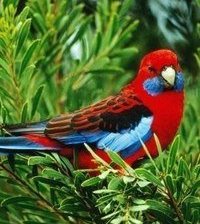 Схема вышивки «№371379»