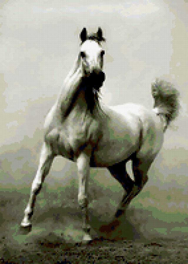 №371380 - предпросмотр