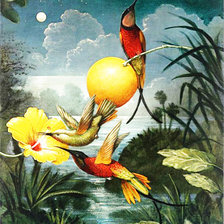 Схема вышивки «Птицы»