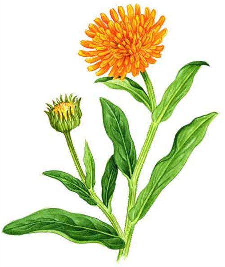 №371530 - оригинал