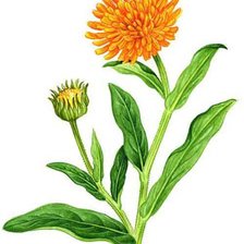 Схема вышивки «№371530»