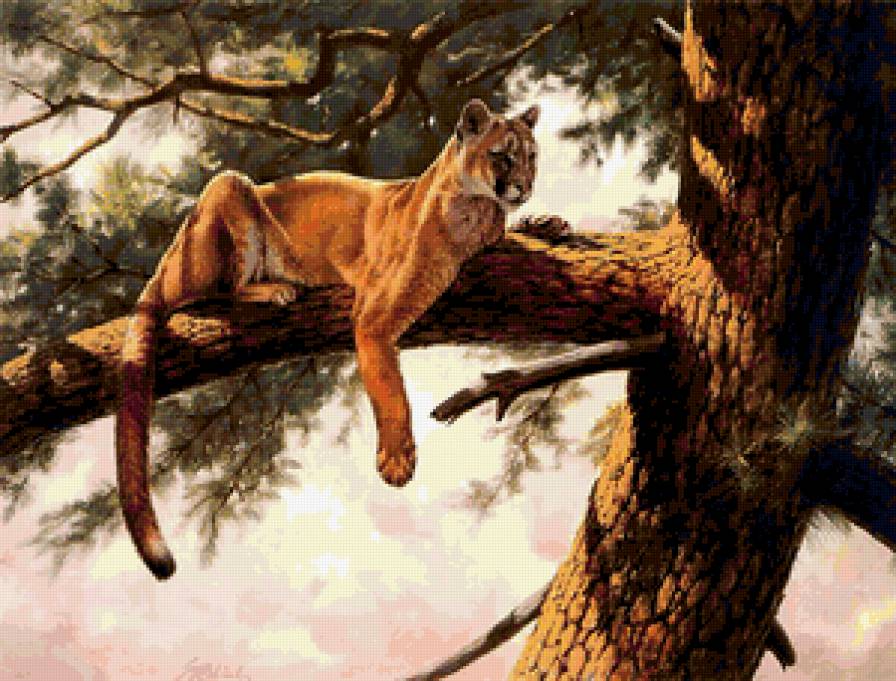 картина - животные - предпросмотр