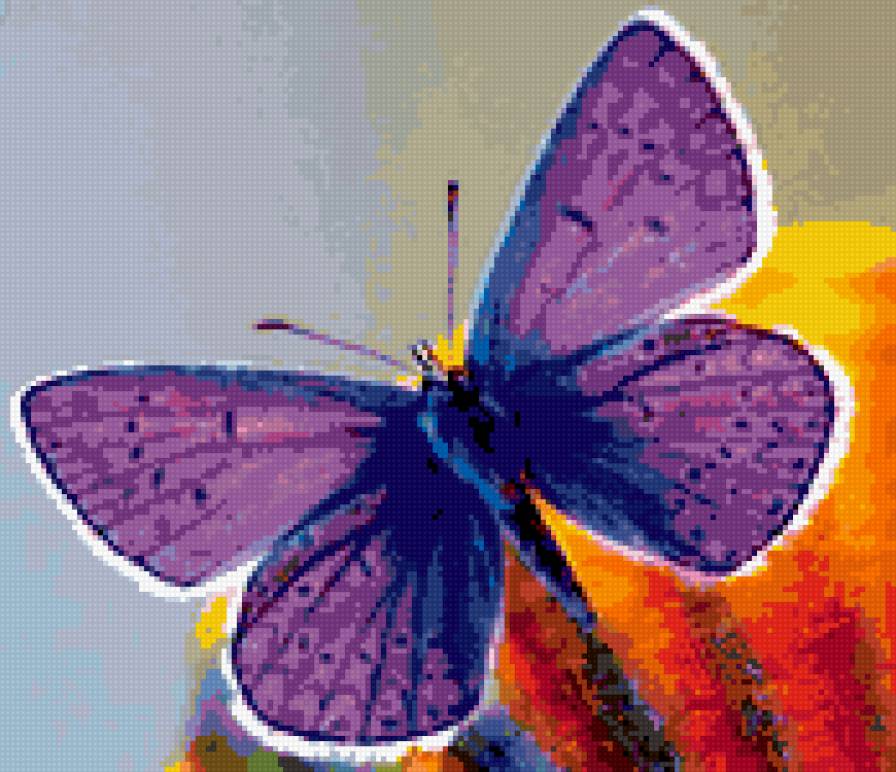 Бабочка для принта на одежду. - бабочка, принт - предпросмотр