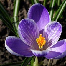 Схема вышивки «№371690»