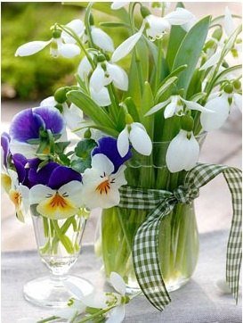 №371696 - цветы - оригинал