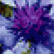 Предпросмотр схемы вышивки «Васильки» (№371707)